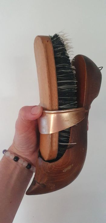 Brosse a vêtements avec son support