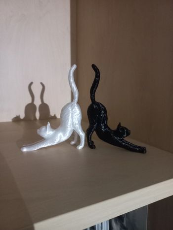 déco chat