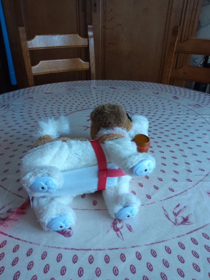 Chien de montagne - photo numéro 4