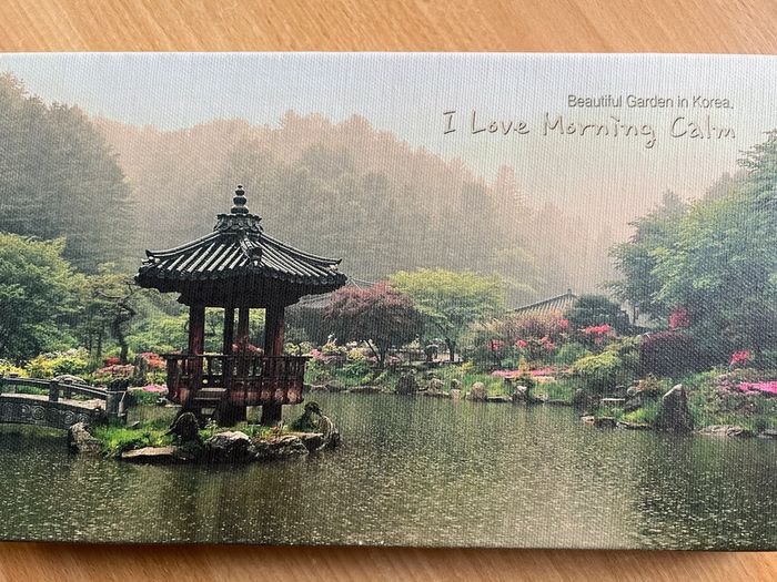 🌸 Toile murale "Jardin du Matin Calme" Souvenir de Corée du Sud - photo numéro 6