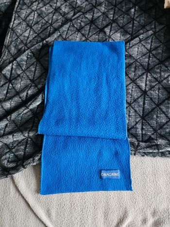 Echarpe bleue Onagrine