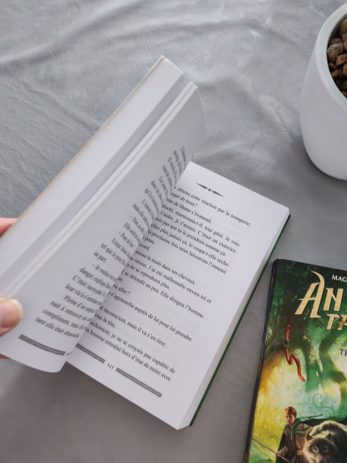Lot de 2 livres - photo numéro 2