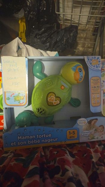 Tortue dans leau