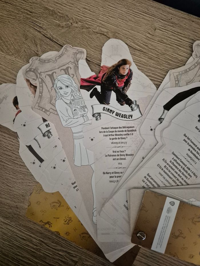 Harry Potter - Mes portraits collector - photo numéro 6