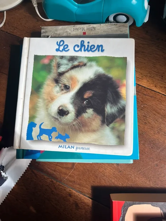 Livre d’image sur les chiens : Chien par Natacha Fradin