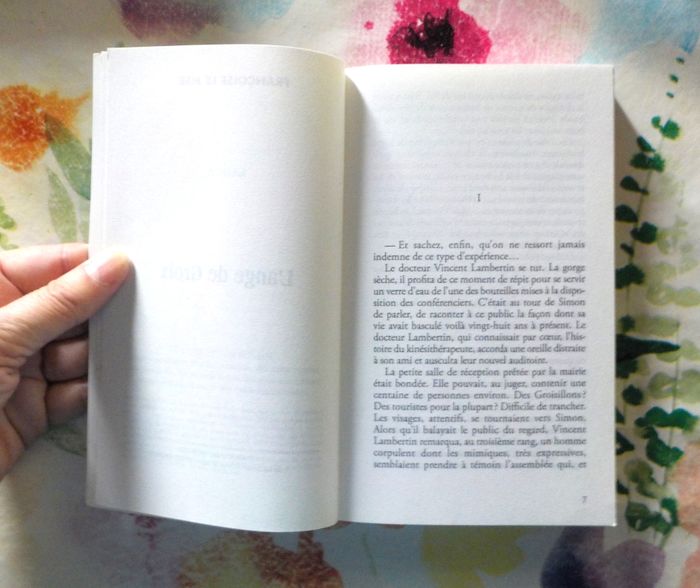 L'ANGE DE GROIX de Françoise LE MER Ed. Palémon - photo numéro 6