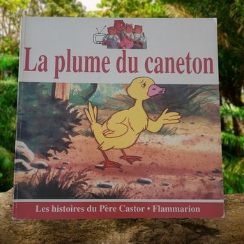 Livre "La plume du canneton" 🐥
