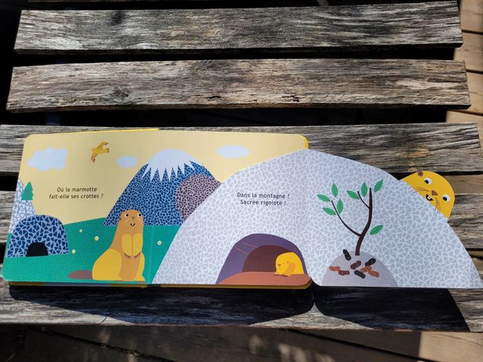 Très joli livre à volets, éditions Sarbacane, Et toi, où tu fais caca? - photo numéro 6