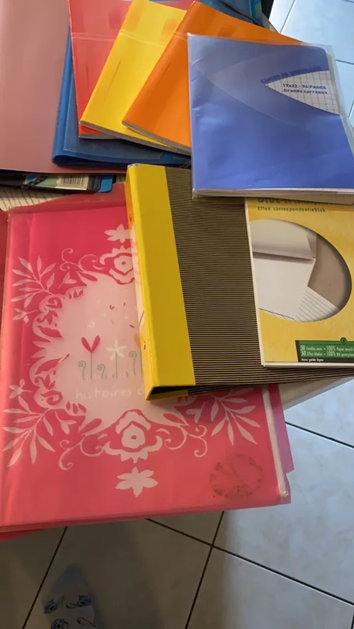 gros lot scolaires classeurs cahiers trieurs porte vues etc - photo numéro 8