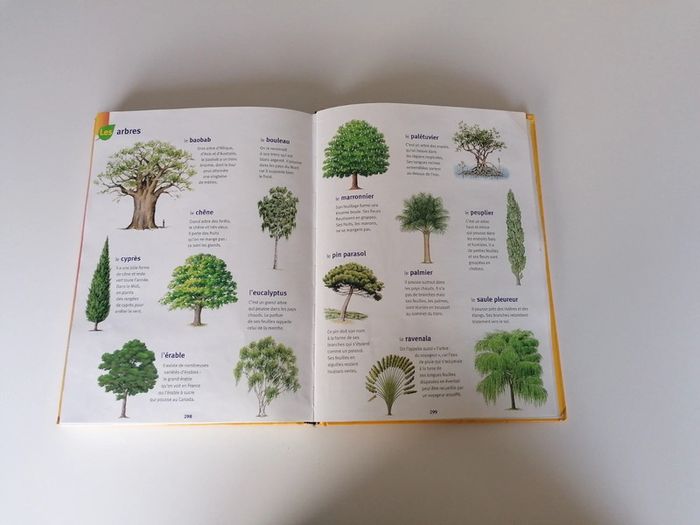 Dictionnaire Larousse maternelle 📕 - photo numéro 7