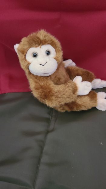 doudou singe marron