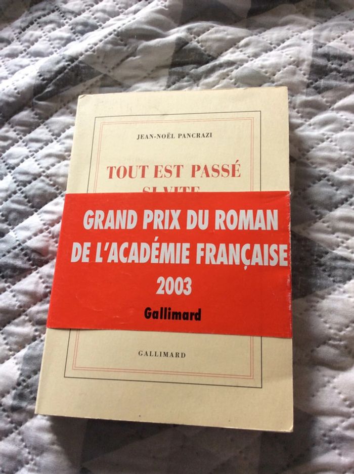 #tout est passé si vite Jean Noel Pancrazi - photo numéro 2
