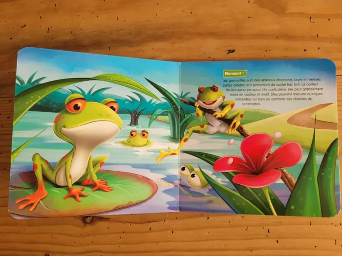 Livre cartonné documentaire Les Grenouilles - photo numéro 5