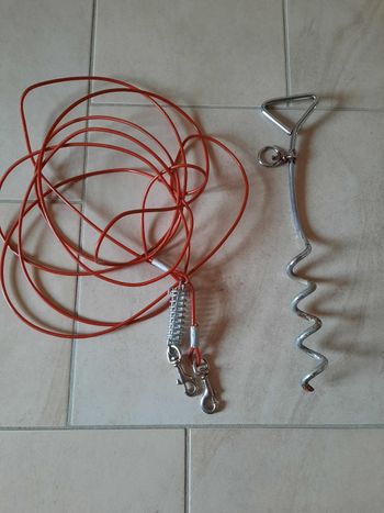 Câble + piquet d'attache pour chien
