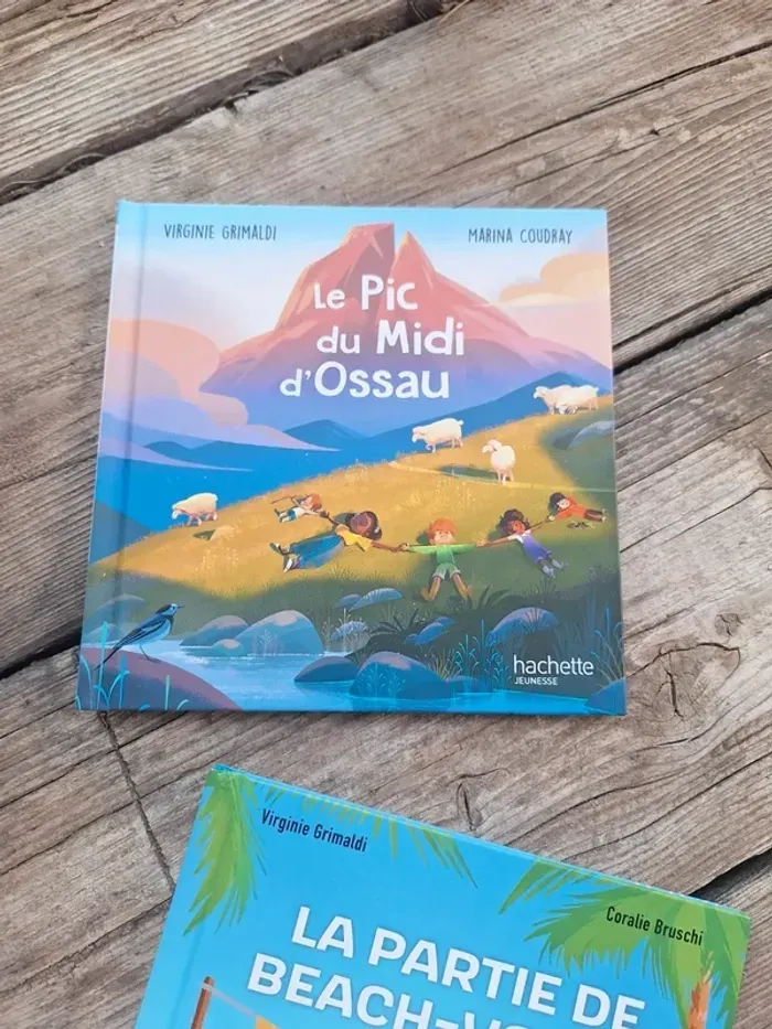 Lot de 4 livres enfants hachette Virginie grimaud, Alexandre - photo numéro 14