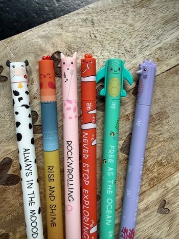 Magnifique stylos effaçables style Legami passion kawai