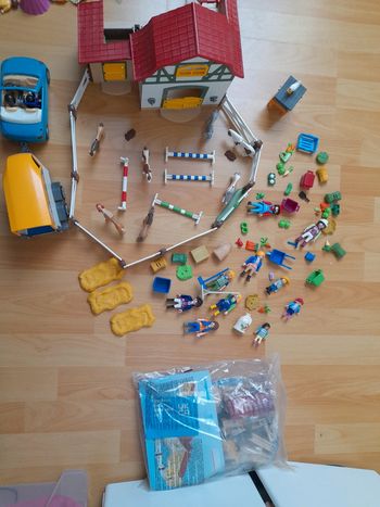 Playmobil lot poney club