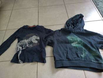 Lot dinosaure Vertbaudet