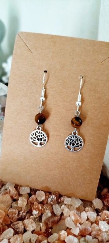 Boucles d'oreilles en Œil de Tigre AAA