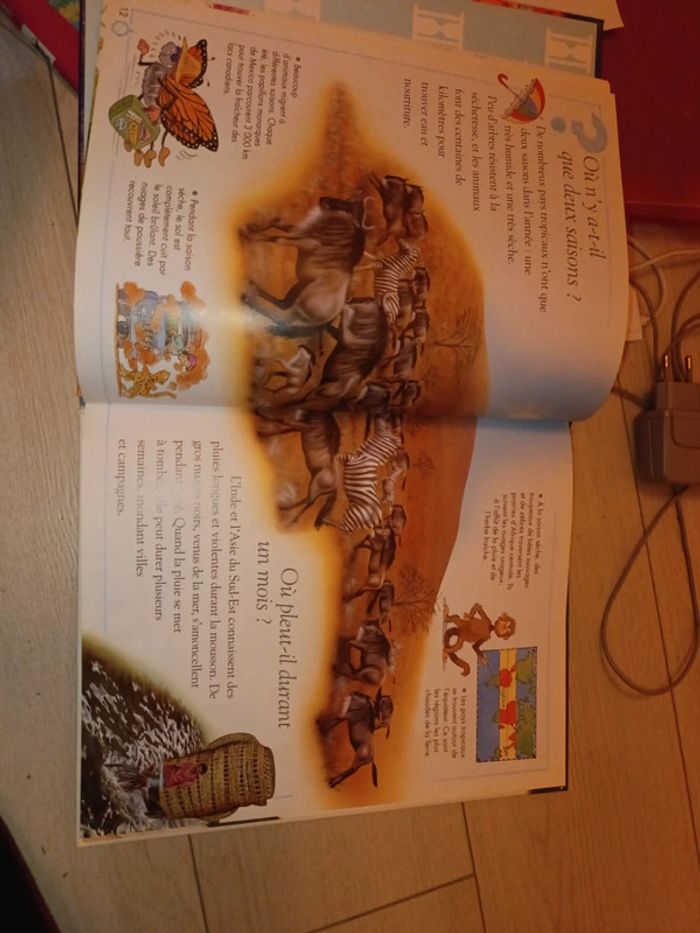 Livre question - photo numéro 2