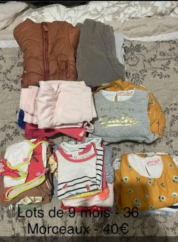Lots vêtement bébé fille 9 mois