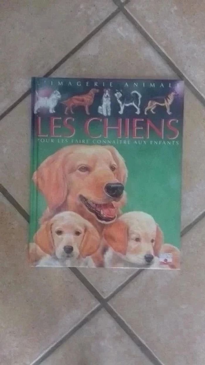 7 Grande imagerie - photo numéro 5