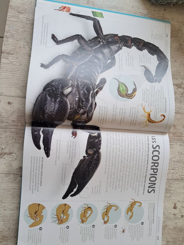 La grande encyclopédie visuelle de la nature - photo numéro 2