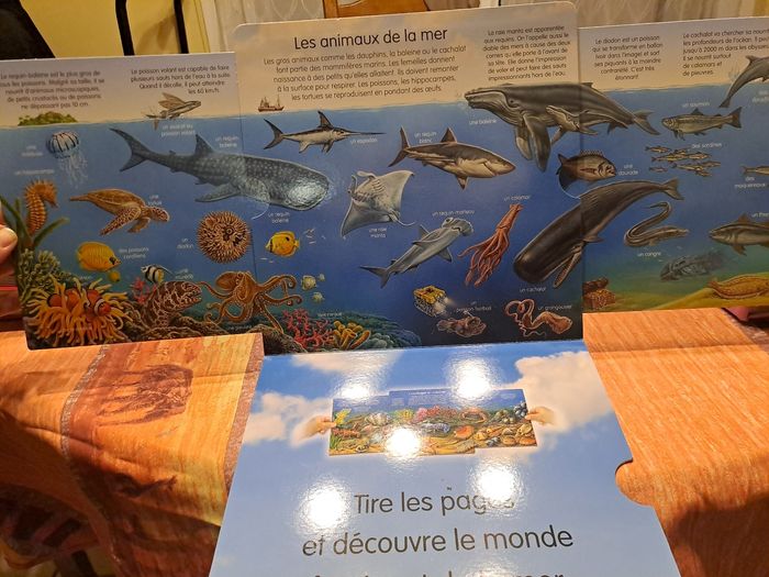 L’imagerie découverte la mer - photo numéro 3