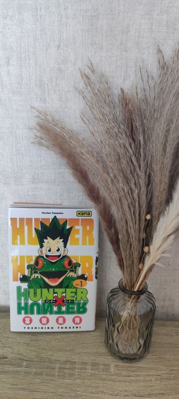 Hunter X hunter