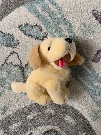 Peluche chien 🧸