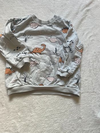 Pull dinosaures