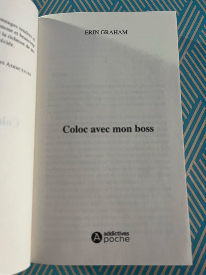 Roman « Coloc avec mon boss » d’Erin Graham - photo numéro 4