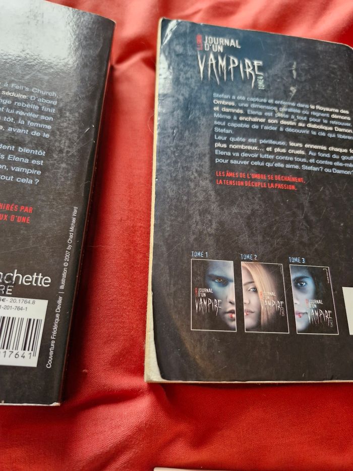 Vampire Diaries les livres de la saga - photo numéro 10