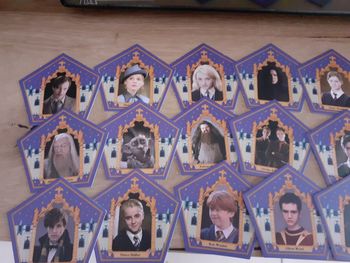 Lot de 22 cartes chocogrenouille Harry Potter