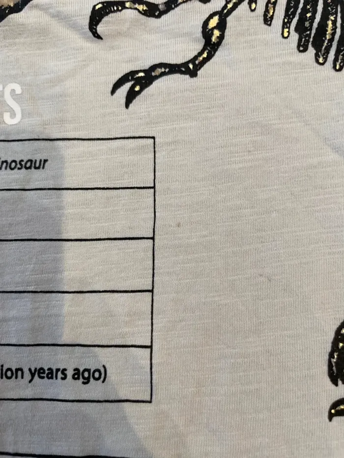 Teeshirt manches longues Dinosaure 110/116cm H&M - photo numéro 5