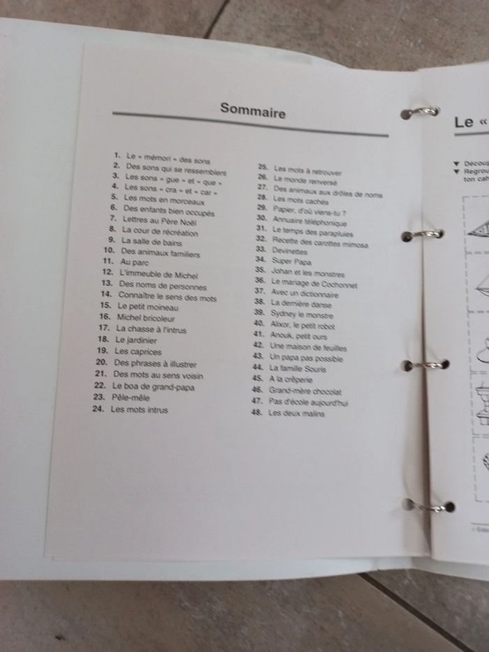 Classeur clé en main Lecture ce1 Mieux lire au cycle 2 - photo numéro 2