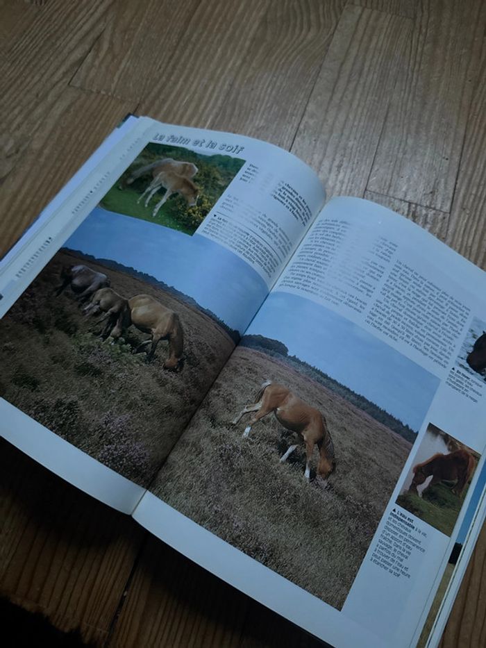Livre l’Atlas du cheval et du cavalier - photo numéro 6