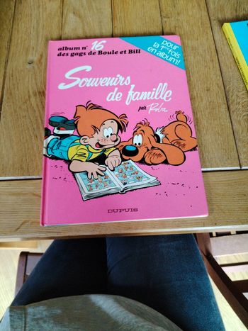 N 16 souvenir de famille boule et Bill