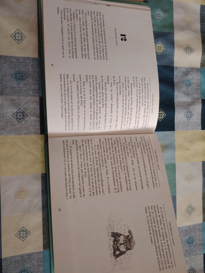 Livre sur le loup - photo numéro 13