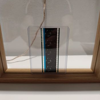 Pellicule démon slayer tanjiro