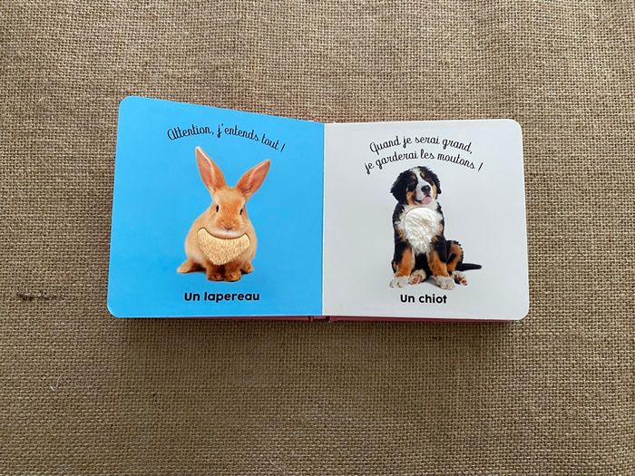 Livre les bébés de la ferme Langue au chat - photo numéro 4