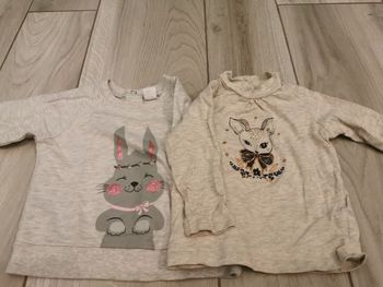 Pull + Tee-shirt manche longue 9 mois