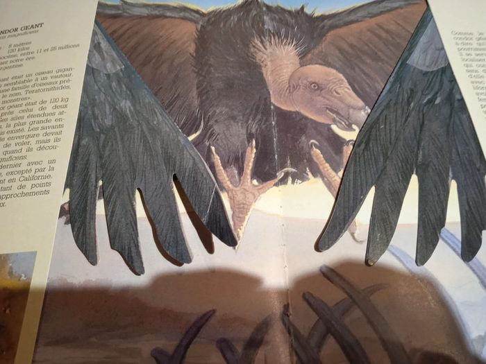 Les géants de notre planète - photo numéro 4