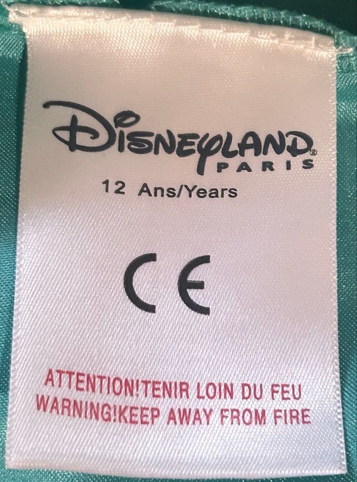 Déguisement Jasmine - photo numéro 4