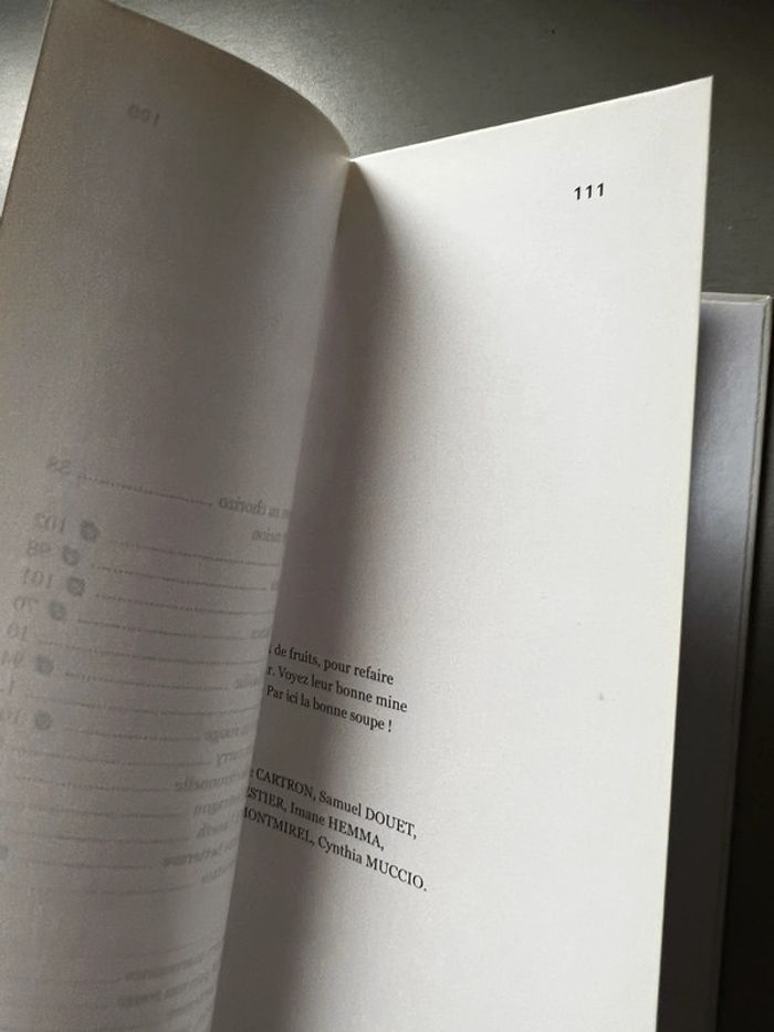 Livre les soupes - photo numéro 4