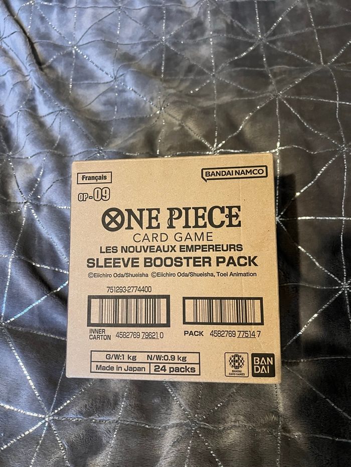 Case op09 - photo numéro 2