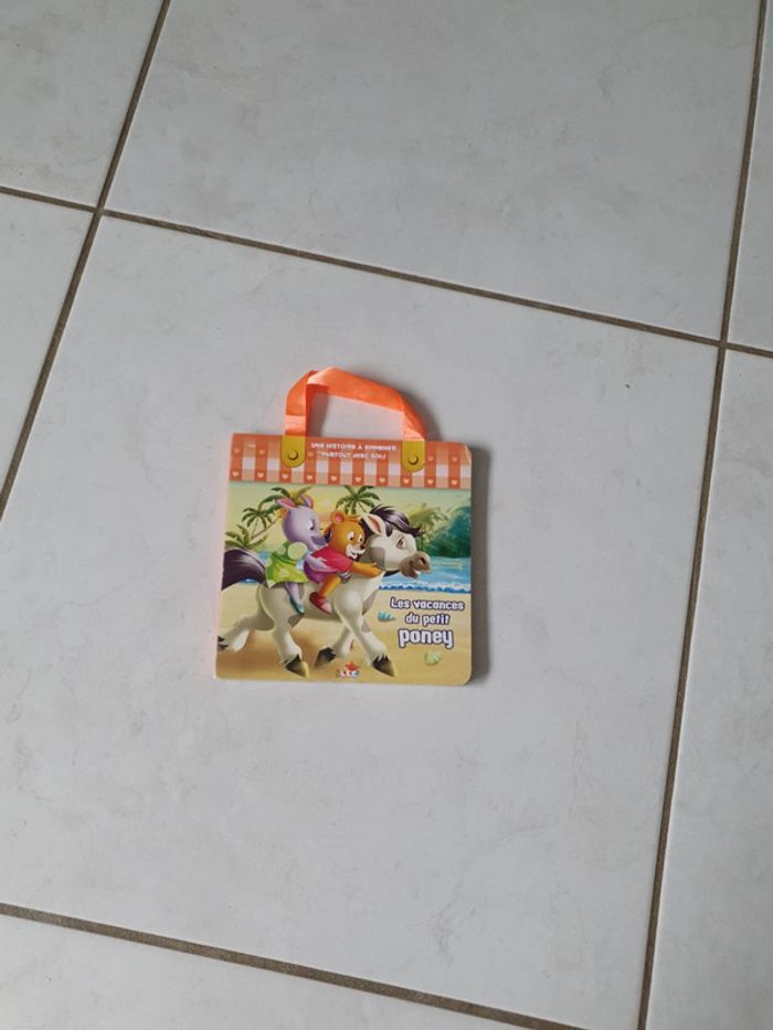 Petit livre enfants les vacances du petit poney VIN