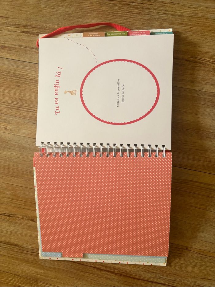 Journal de mon bébé avec Sophie la girafe - photo numéro 5
