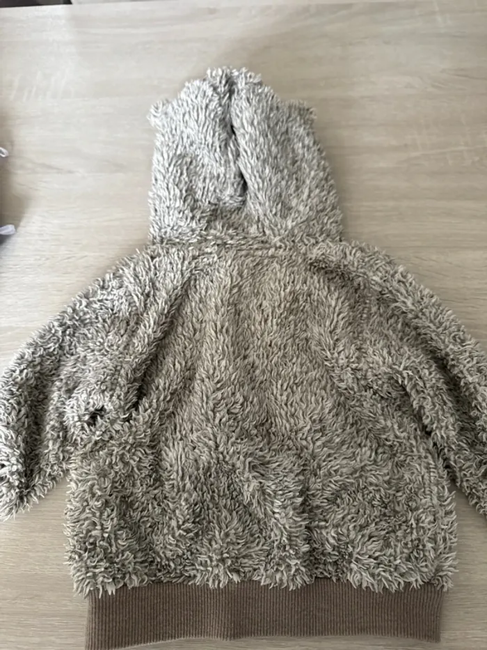 Veste - photo numéro 3