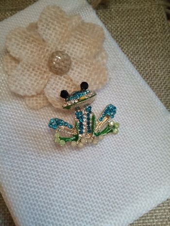 Broche grenouille 🐸.